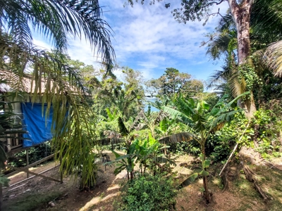 Titled Ocean View Handyman special, Bocas del Toro, Panama - image 14