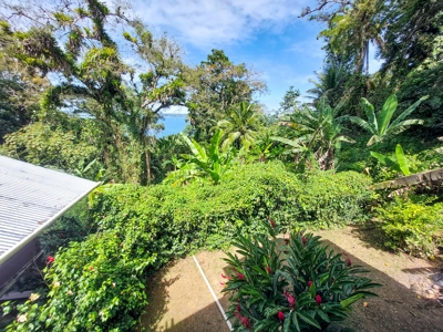 Titled Ocean View Handyman special, Bocas del Toro, Panama - image 8