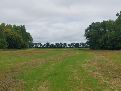 Wilkin County Land & Country Home Auction - image 9