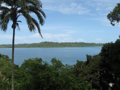 Oceanfront Luxury Home Bocas del Toro Panama  AWESOME PRICE - image 34