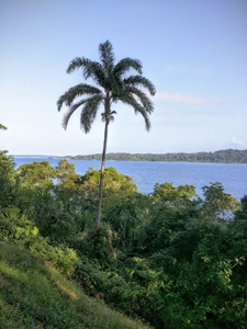 Oceanfront Luxury Home Bocas del Toro Panama  AWESOME PRICE - image 11