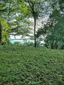 Oceanfront Luxury Home Bocas del Toro Panama  AWESOME PRICE - image 26