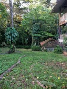 Oceanfront Luxury Home Bocas del Toro Panama  AWESOME PRICE - image 10