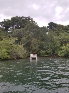 Oceanfront Luxury Home Bocas del Toro Panama  AWESOME PRICE - image 8