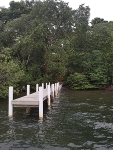 Oceanfront Luxury Home Bocas del Toro Panama  AWESOME PRICE - image 1