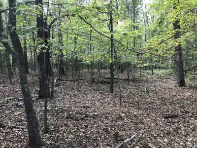 3 wooded acres close to National Forest. - image 3