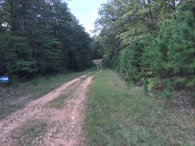 3 wooded acres close to National Forest. - image 1