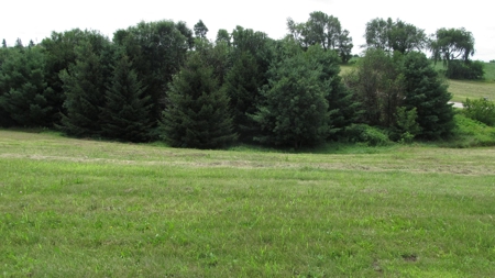 Lot #42 -  0.45 Acres Golf Course Access For Sale - image 3