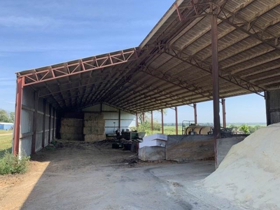 Profitable Robotic Dairy Farm For Sale in Vernon County, MO - image 6