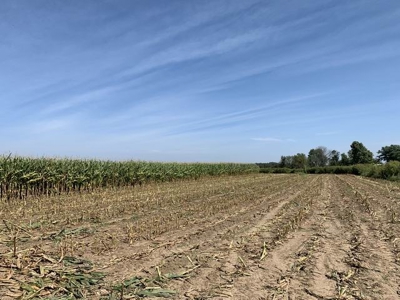 Profitable Robotic Dairy Farm For Sale in Vernon County, MO - image 5