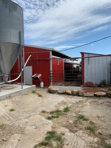 Profitable Robotic Dairy Farm For Sale in Vernon County, MO - image 37