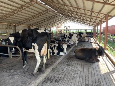 Profitable Robotic Dairy Farm For Sale in Vernon County, MO - image 16
