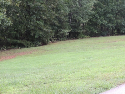 Land For Sale At Shiloh Falls Subdivision Near Pickwick Lake - image 5