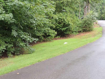 Land For Sale At Shiloh Falls Subdivision Near Pickwick Lake - image 9