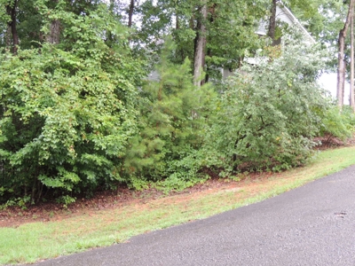 Land For Sale At Shiloh Falls Subdivision Near Pickwick Lake - image 11