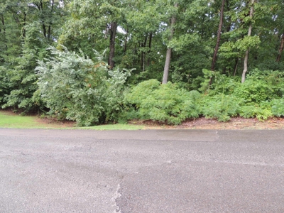 Land For Sale At Shiloh Falls Subdivision Near Pickwick Lake - image 14