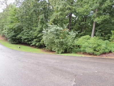 Land For Sale At Shiloh Falls Subdivision Near Pickwick Lake - image 15