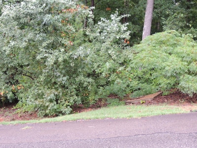 Land For Sale At Shiloh Falls Subdivision Near Pickwick Lake - image 12