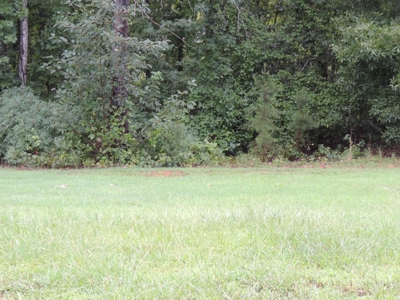 Land For Sale At Shiloh Falls Subdivision Near Pickwick Lake - image 3