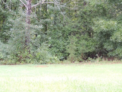 Land For Sale At Shiloh Falls Subdivision Near Pickwick Lake - image 4
