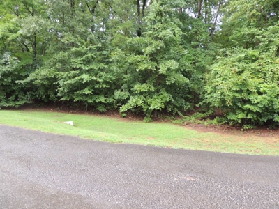 Land For Sale At Shiloh Falls Subdivision Near Pickwick Lake - image 18