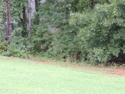 Land For Sale At Shiloh Falls Subdivision Near Pickwick Lake - image 8