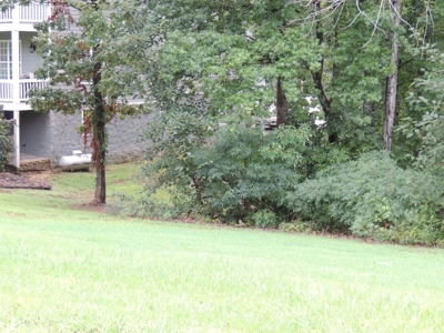 Land For Sale At Shiloh Falls Subdivision Near Pickwick Lake - image 6