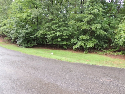 Land For Sale At Shiloh Falls Subdivision Near Pickwick Lake - image 19