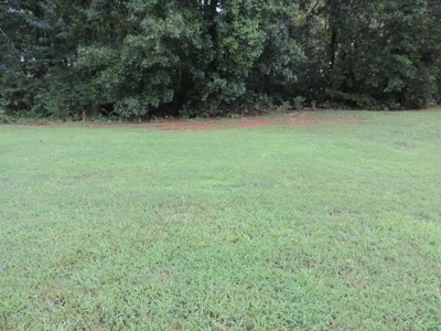 Land For Sale At Shiloh Falls Subdivision Near Pickwick Lake - image 2