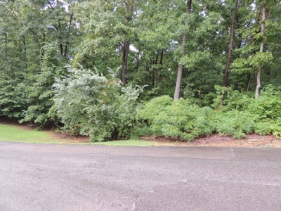 Land For Sale At Shiloh Falls Subdivision Near Pickwick Lake - image 16