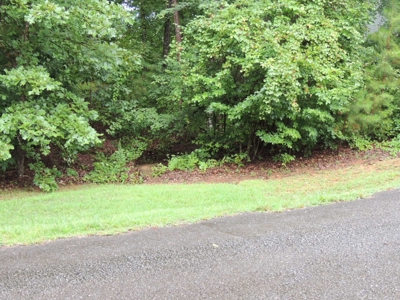 Land For Sale At Shiloh Falls Subdivision Near Pickwick Lake - image 10