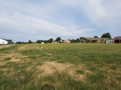 Albia, IA Lots for Sale - image 6