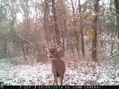 Strip Pit Property For Sale in Bates County MO - image 28