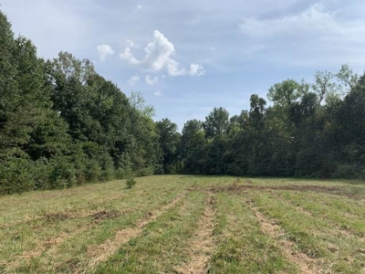 Strip Pit Property For Sale in Bates County MO - image 14