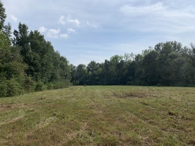Strip Pit Property For Sale in Bates County MO - image 12