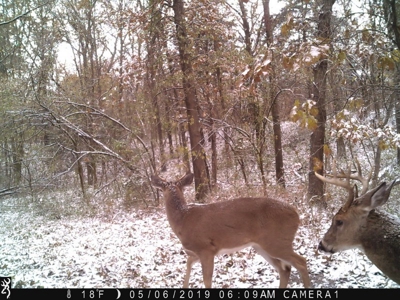 Strip Pit Property For Sale in Bates County MO - image 32