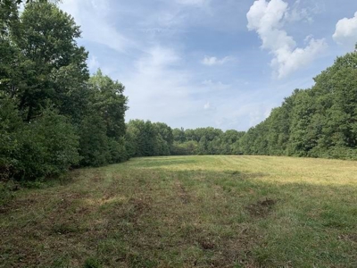 Strip Pit Property For Sale in Bates County MO - image 9