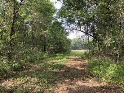 Strip Pit Property For Sale in Bates County MO - image 17