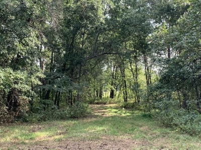 Strip Pit Property For Sale in Bates County MO - image 15