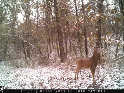 Strip Pit Property For Sale in Bates County MO - image 31