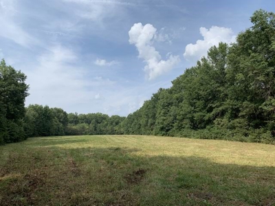 Strip Pit Property For Sale in Bates County MO - image 10
