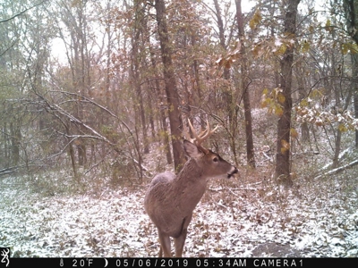 Strip Pit Property For Sale in Bates County MO - image 30