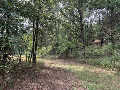 Strip Pit Property For Sale in Bates County MO - image 11