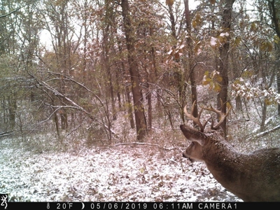 Strip Pit Property For Sale in Bates County MO - image 33