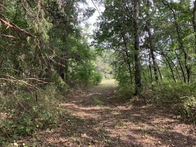 Strip Pit Property For Sale in Bates County MO - image 16