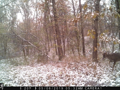 Strip Pit Property For Sale in Bates County MO - image 29