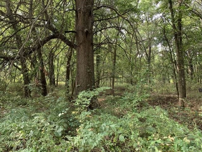 Strip Pit Property For Sale in Bates County MO - image 8