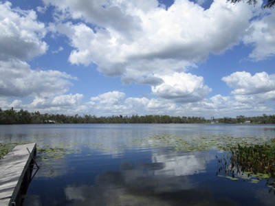 Gorgeous Private lake front home in Florida with land - image 2
