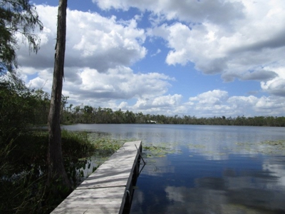 Gorgeous Private lake front home in Florida with land - image 32
