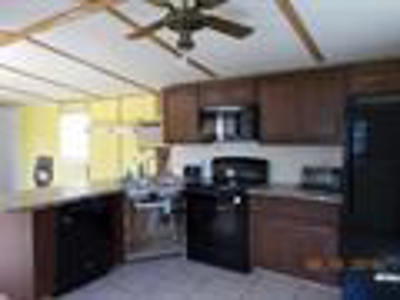 www.the beachcountry.com - image 5